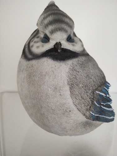 Large blue jay bird - blue,