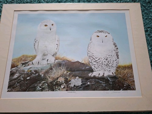 Limited edition print - edition,