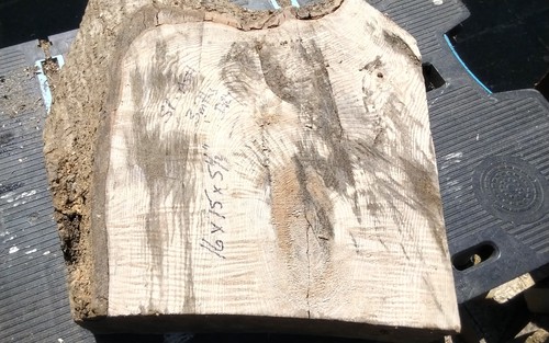 Spalted ash bowl blank wood - ash,