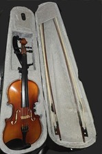 Electro Acoustic Violin By