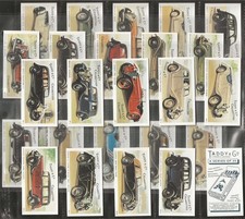 TADDY & Co.-FULL SET- MOTOR