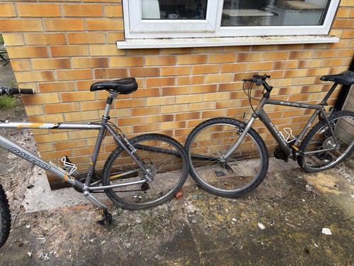 Pair hybrid bikes need - –,