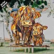 Scottish Highland Cow Calf