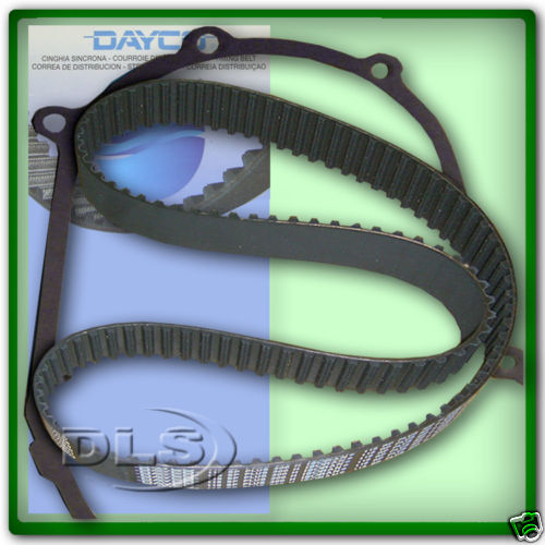 Timing belt and gasket 300tdi - and,