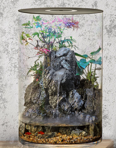Takia fish home acrylic - takia,