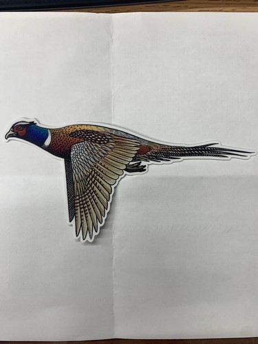 Casey underwood ringneck - casey,