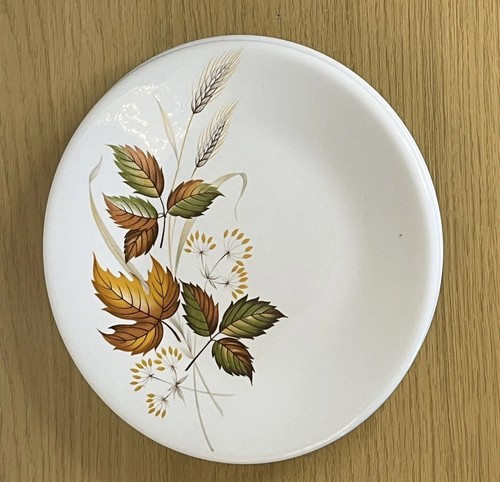 Vintage autumn leaves - x,