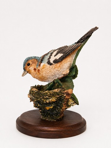 Border fine arts blue - tit, bird