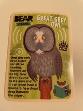 Bear Yoyo Cards - Animals
