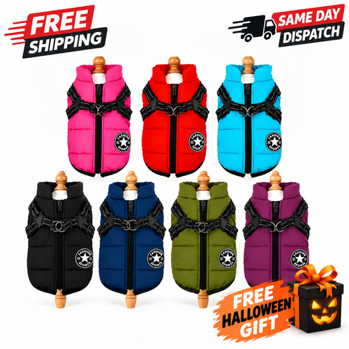 Dog coat waterproof with - coat,
