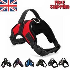 Dog Harness No Pull For Small