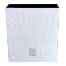 Square Low Rattan Elegant