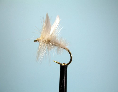 White moth fly fishing dry - x,