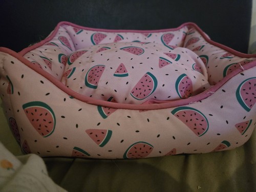 Guinea pig bed - pig,