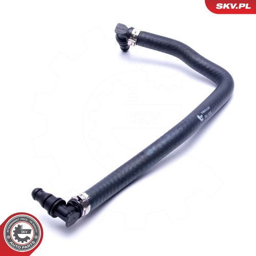 For esen skv - esen, 54skv169