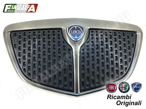 Radiator grill with emblem - grill,