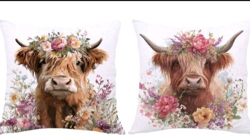 Beautiful highland cow - x,