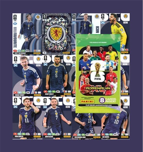 Panini adrenalyn fifa world - panini,