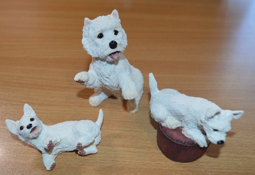 Border fine arts a5888 westie - a5888,
