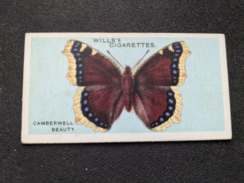 1927 wills british butterflies - 1927,