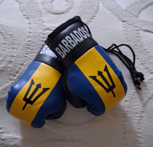 Barbados flag mini boxing - flag,