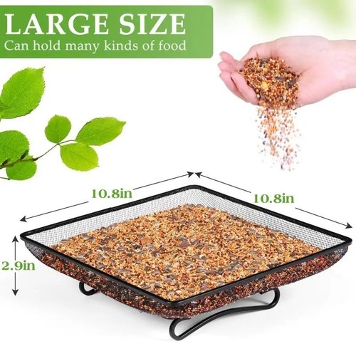 Wild bird feeder - bird, raised