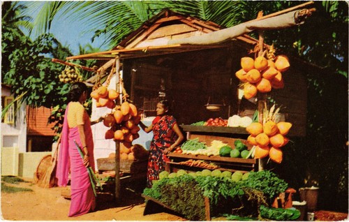 Cpm way side fruit - way,
