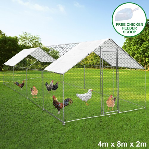 Chicken run walk coop - chicken,