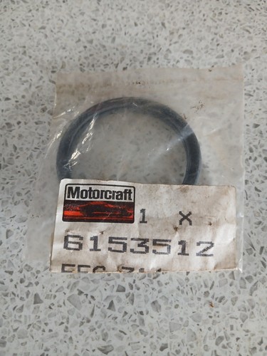 Thermostat ring gasket ford - ring,