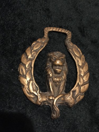 Lion horse brass - horse,