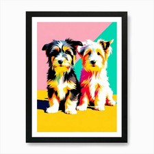 Bearded Collie Pups, This