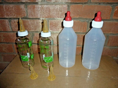 Lamb feeding feeder bottles - /,