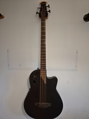 Acoustic bass guitar - acoustic,