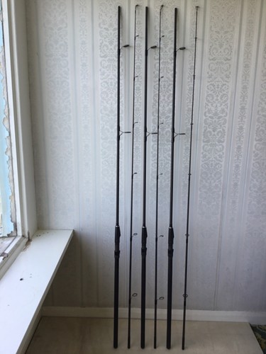 Foot test curve carp - 11,