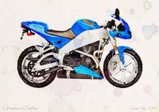 A3 Photo Buell Firebolt XB9R