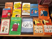 Charlie brown and - brown, peanuts