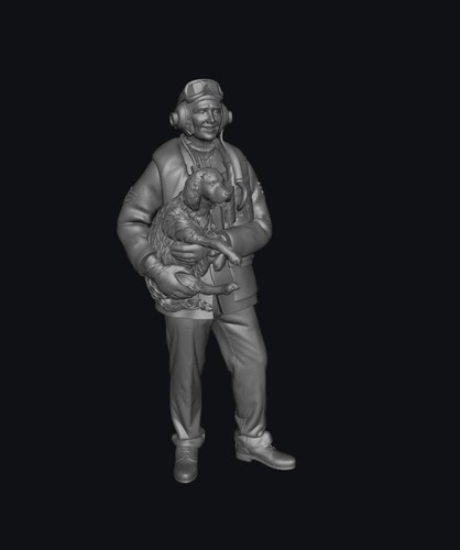 Sw1154 ww2 raf sergeant - raf,