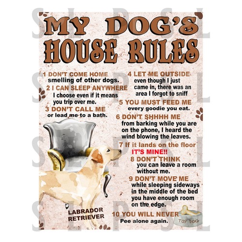 Dog house rules - dog's, labrador