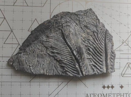 Natural devonian prehistoric - natural,