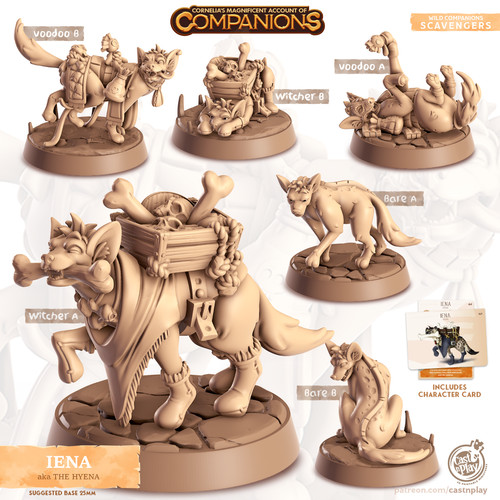 Hyena animal companion - animal,