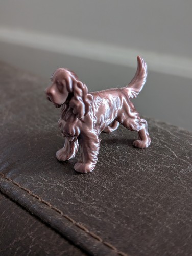 Rose gold cocker spaniel - gold,