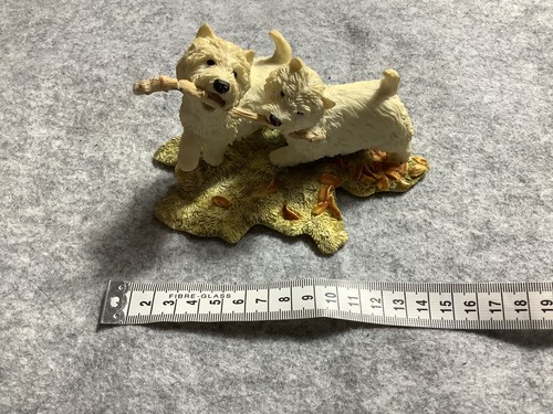 Pair west highland terrier - highland,