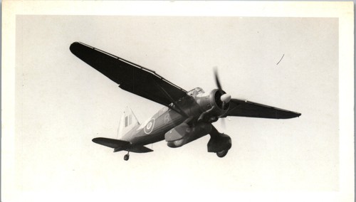 Westland lysander plane photo - westland,