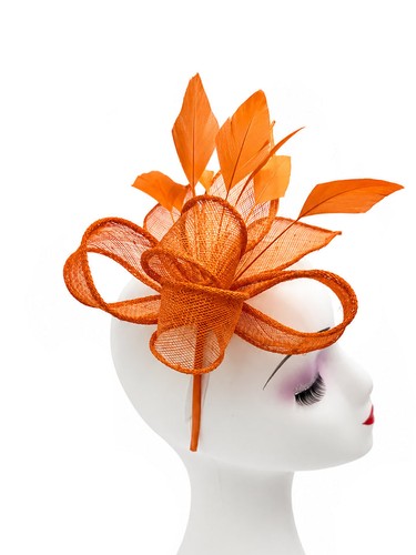 Feather looped fascinator - feather, &