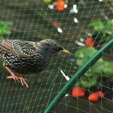Garden Netting for Plants Fruit Veg Patch Grass Seeds, Anti Bird Netting 4m x 6m