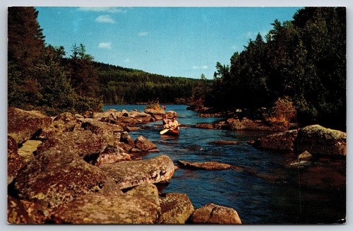 Postcard minnesota canoe - postcard,