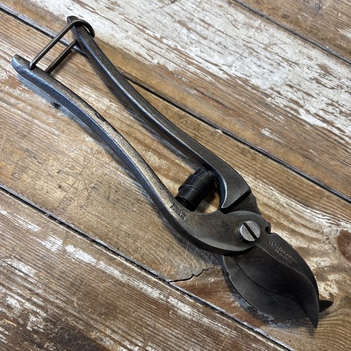 Vintage skelton co - g.,
