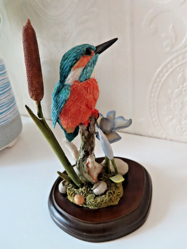 Country artist kingfisher with - country,