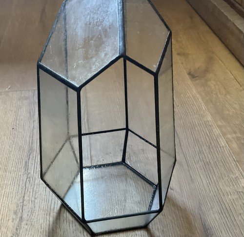 Glass terrarium open - glass,