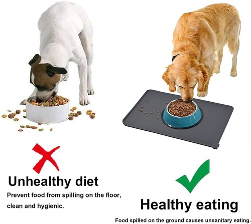 Cat dog food mat - food, pet